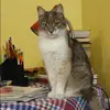 Отзыв от Зинаида Денисова